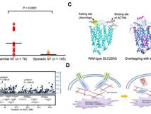 91色情
付利教授团队在《PNAS》杂志发表研究论文