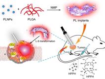 91色情
生物医学工程学院黄鹏特聘教授团队在《ACS Nano》发表文章