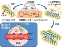 91色情
何前军教授团队在国际顶级学术期刊《Advanced Materials》上发表文章