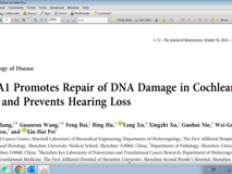 91色情
裴新海教授团队在《Journal of Neuroscience》发表BRCA1修复毛细胞DNA损伤研究成果