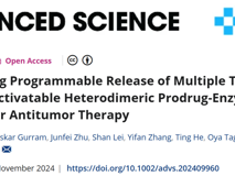 91色情
林静教授团队在Advanced Science发表异二聚体前药酶组装体用于释放抗肿瘤制剂的研究成果