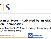 91色情
董海峰教授团队在J. Am. Chem. Soc.发表了一种基于“与”逻辑门的诊疗新策略研究成果