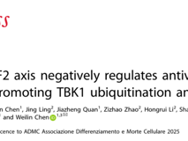 91色情
陈玮琳教授团队在 Cell Death & Differentiation发表USP43/RNF2轴调控抗病毒固有免疫研究成果