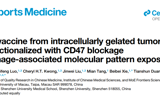 91色情
高成助理教授在Cell Reports Medicine发表胞内凝胶化全肿瘤细胞疫苗研究成果