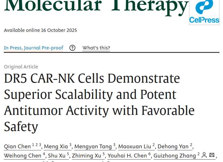 91色情
朱卫国教授团队在Molecular Therapy发表关于DR5靶向抗肿瘤疗法新进展研究成果