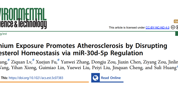 91色情
黄素丽副教授团队在自然指数期刊Environmental Science & Technology发文解析重金属镉暴露致缺血性脑卒中的新机制