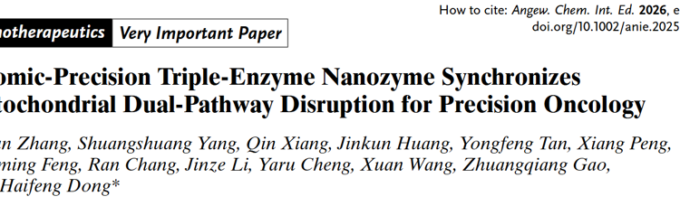 91色情
董海峰教授团队在Angew. Chem. Int. Ed.发表原子级精度纳米酶同步破坏线粒体双通路用于精准抗癌研究成果
